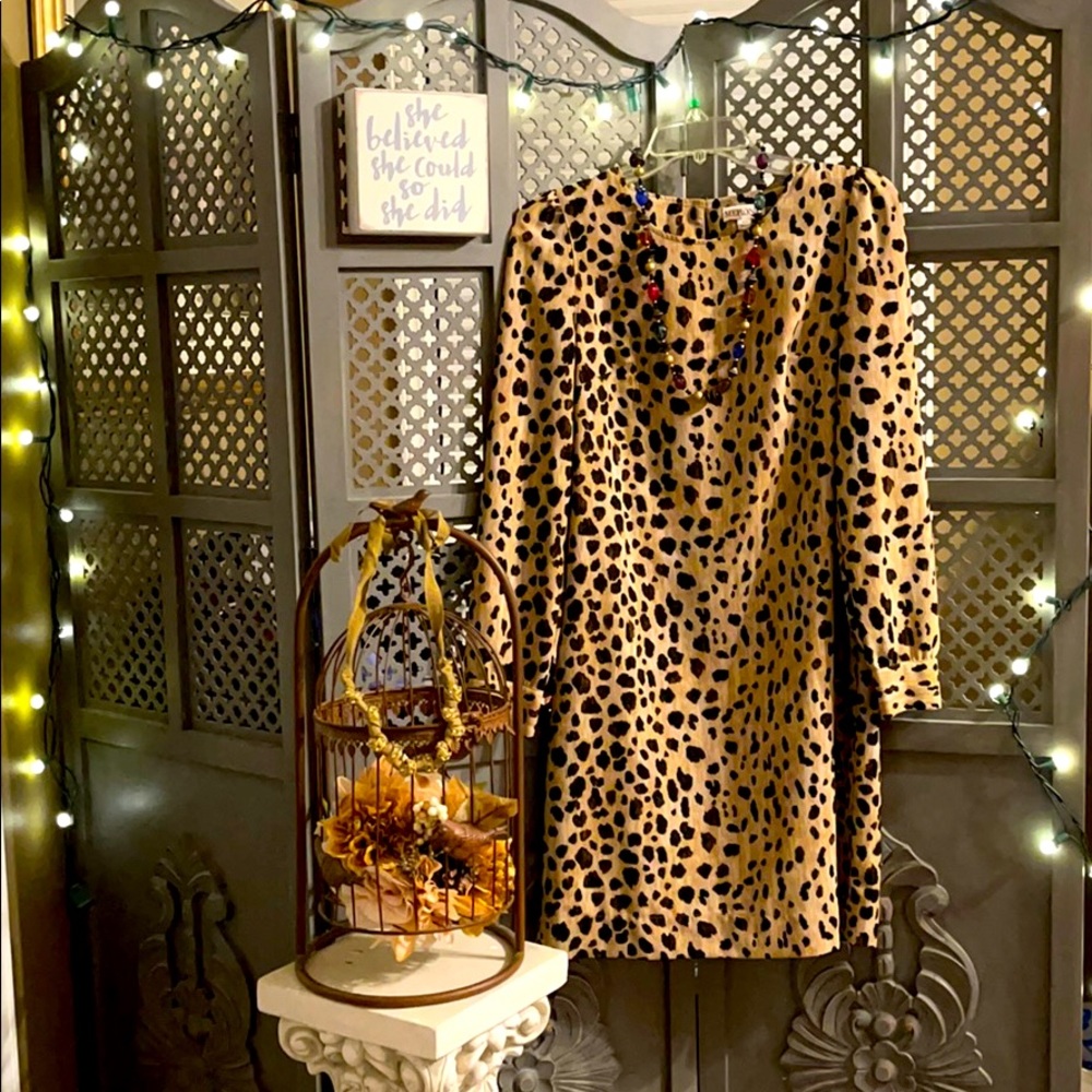 Women’s Merona Dress